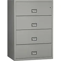 Phoenix Safe International LLC-PXS LAT4W31LG