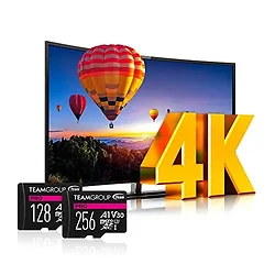 Team Group Inc-TPUSDX256GIV30A1P03