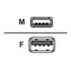 Microsoft-H21-03099