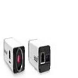 Wheelock-MTWPA-24MCCH-NW