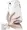 S-XR-6.1-STELA-M