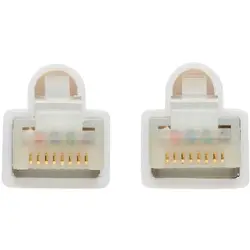 Tripp Lite-N262AB-010-WH
