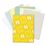 NEENAH PAPER WAU 49521