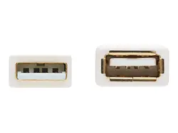 Tripp Lite-U024AB-003-WH