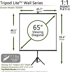 Elite Screens-T65SW