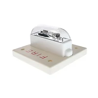 Wheelock-RSSWP-24MCWH-FW