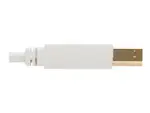 Eaton Tripplite U022AB-006-WH