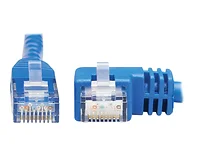 Tripp Lite-N204-020-BL-RA