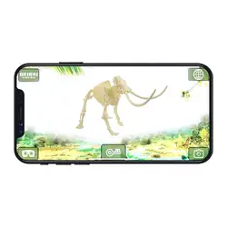 HAMILTONBUHL-PH-KIT5