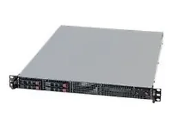 Supermicro-SYS-1017C-TF