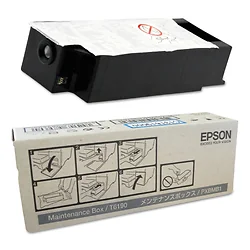 EPSON-T619000