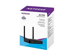 NETGEAR-R6020-100NAS