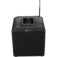 AmpliVox-SW690