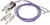 PEERWB17T10006