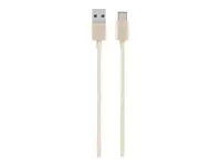 Belkin-F2CU060BT04-GLD