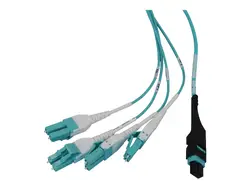 Tripp Lite-N48M-4M8L4-10