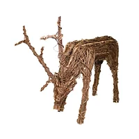 Gardman USA-X19DR735354