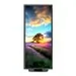 SHARP NEC-EA294WMI-BK