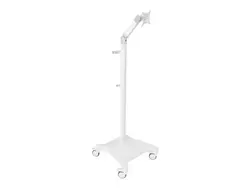 CAPSA SOLUTIONS-T2750