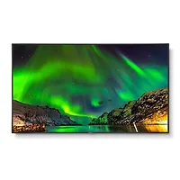 SHARP NEC-C651Q-AVT2-R