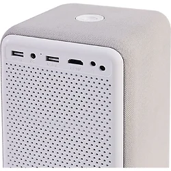 Global Aiptek Inc USA-98-300-30100-100