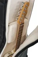 Gator Cases-G-PG-ACOUELECT