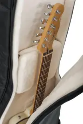 Gator Cases-G-PG-ACOUELECT