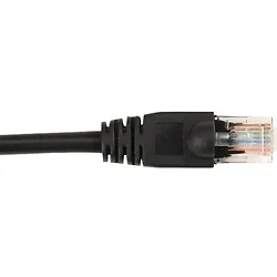 BLACK BOX CORPORATION-CAT6PC-050-BK