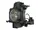 POA-LMP136-OE