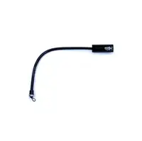 Littlite-12P