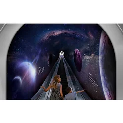 LG Electronics-55EF5F-P