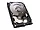 STBD3000100
