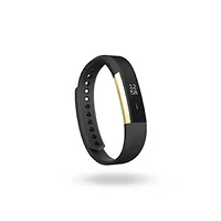 Fitbit-NWTFL-FB406GBKS-OPEN-BOX