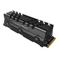 PNY Technologies-M280CS3140HS-1TB-RB