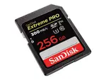 Western Digital SDSDXDK-256G-ANCIN