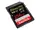 SDSDXDK-256G-ANCIN