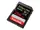 SDSDXDK-256G-ANCIN