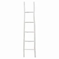 Plutus Brands-PBTH94809