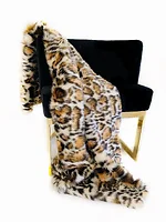 Plutus Brands-PBDT1609-96x110T