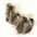 PBSF1516-114x120