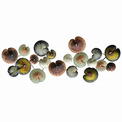 Plutus Brands-PBTH93794