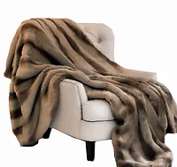 Plutus Brands-PBSF1418-96x110T