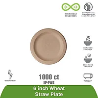 ECO-PRODUCTS,INC.-EP-PW6