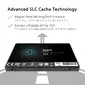 SILICON POWER-SP256GBSS3A55S25