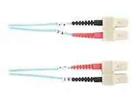 BLACK BOX CORPORATION-FO10G-003M-SCSC