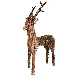 Gardman USA-X19DR730554