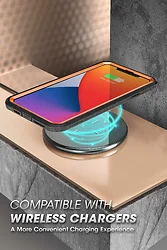 I BLASON-S-IP12-6.1UBP-OR