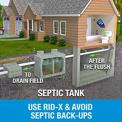 RECKITT BENCKISER-19200-84779