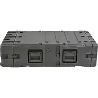 SKB Cases-3RS-4U30-25B