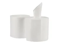 GEORGIA PACIFIC-29700